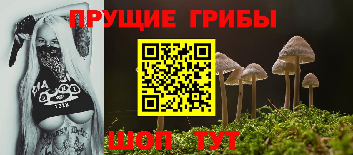 Псилоцибиновые грибы Psilocybine cubensis  Вход с VPN  купить  цена  Приморско-Ахтарск 