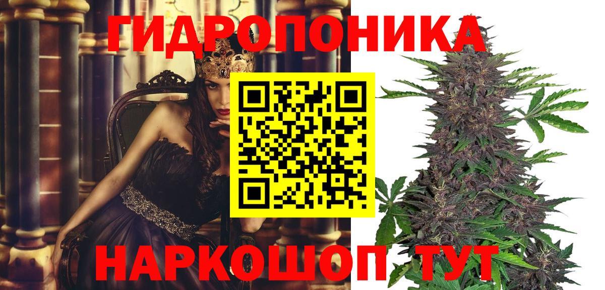 Бошки марихуана марихуана Приморско-Ахтарск
